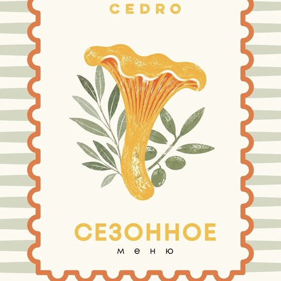 Сезон лисичек в Cedro!